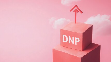 Cube with letters DNP and upward arrow against pink sky background with ample copy space for text and branding opportunities
