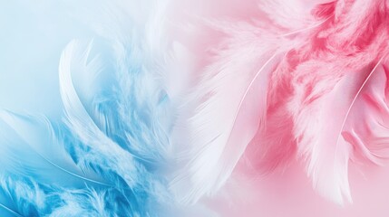 Obraz premium Gradient of pink and blue feather textures with soft aesthetics and ample copyspace for creative text placement