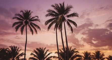 Obraz premium Palm trees outlined by a stunning sunset, capturing the essence of a peaceful evening in a tropical setting. 
