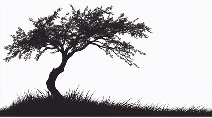 Silhouette of a Weeping Tree in a Field