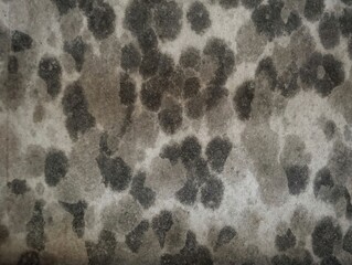 Abstrack grunge concrete wall texture and background with circle pattern 