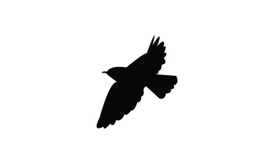 Flying Wheatear Bird Silhouette Design  And Vector Illustration. 