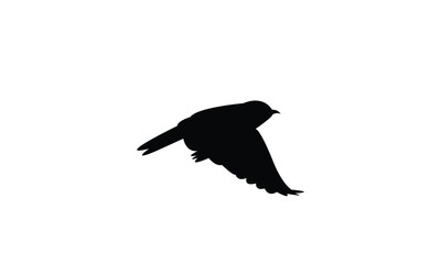 Flying Wheatear Bird Silhouette Design  And Vector Illustration. 