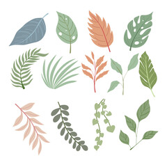 Hand drawn set of design pastel elements tropical leaves. Perfect for card, poster, packaging, paper pattern, background. Vector illustration