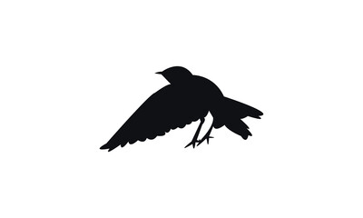 Flying Wheatear Bird Silhouette Design  And Vector Illustration. 