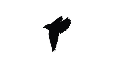 Flying Wheatear Bird Silhouette Design  And Vector Illustration. 