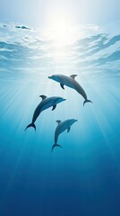 Naklejka premium Graceful Dolphins Swimming in Clear Ocean Water