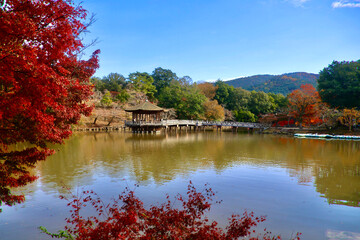 Fototapeta premium 秋の浮見堂（奈良県・奈良市）