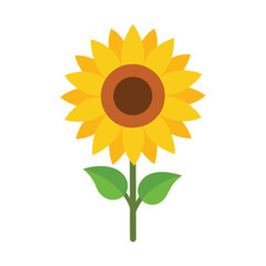 Colorful sunflower vector art illustration.
