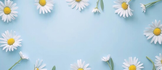 Obraz premium Daisy Flower Arrangement on Light Blue Wooden Surface with Blank Space for Text or Design Elements