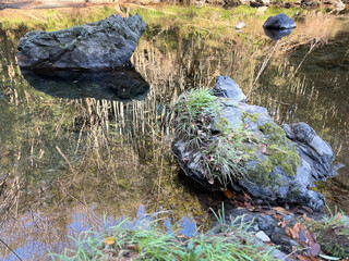 pond, Japan, nature, landscape, stone, waterside