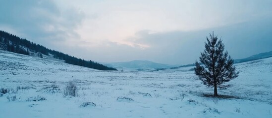 Serene winter landscape at dusk featuring a snowy field and lone tree under a soft blue sky with ample space for text overlay