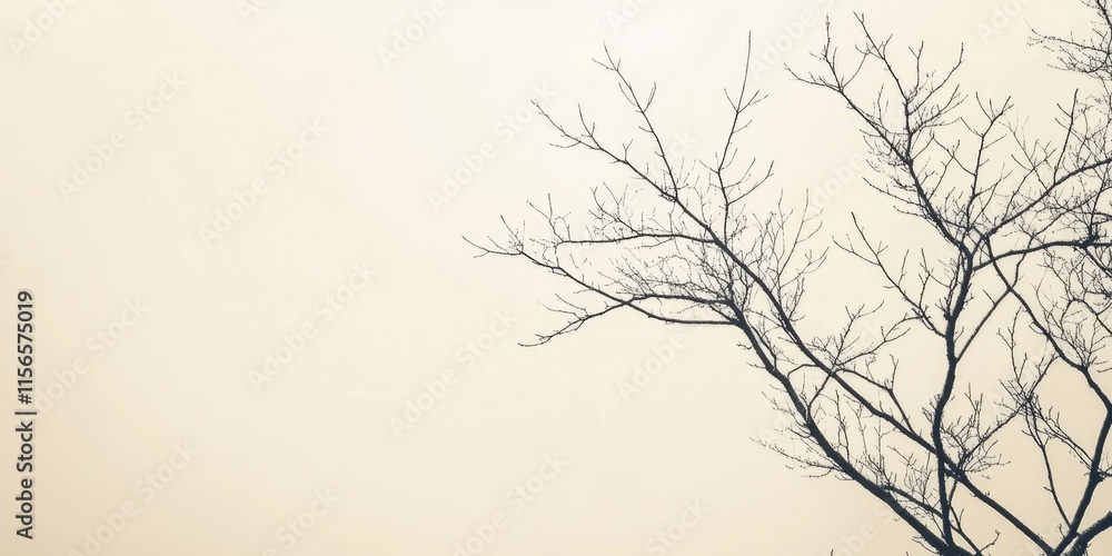 Poster nature's serenity with bare branches against a soft background ideal for text placement in minimalis