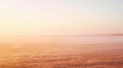Obraz premium Morning fog envelops a serene open field creating a tranquil atmosphere with ample space for text or design elements.