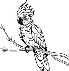 cockatoo mascot line vector illustration  white background © Jagone Mas Zan