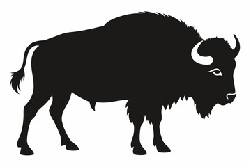American bison silhouette icon vector