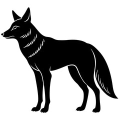 Coyote Silhouette vector illustration