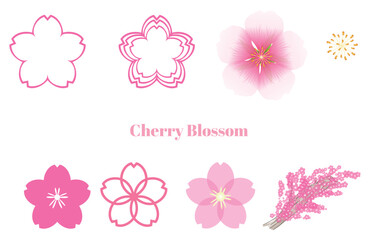 Cherry Blossom Collection: Elegant illustrations of cherry blossoms in various styles, perfect for spring designs and branding.  