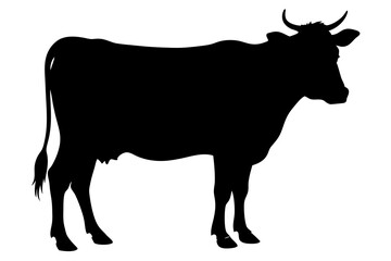 Cow Silhouette vector illustration