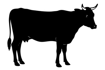 Cow Silhouette vector illustration