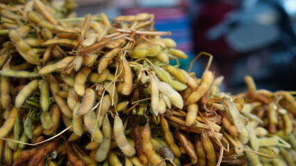 Steamed Soybeans Heap