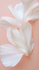 Petal Serenity White Flower Detail Close-Up Soft Textures Minimalist Aesthetic Calm Background