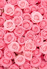 Fototapeta premium Pile of pink rose seamless background and wallpaper, Valentine Day concept