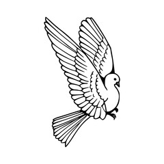 a line art drawing of a flying dove illustration
