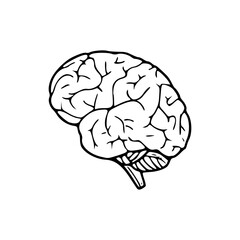 a line art drawing of a brain illustration
