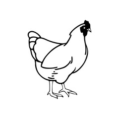 a line art drawing of hen and chicken