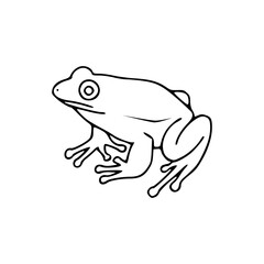 a line drawing of a frog coloring page