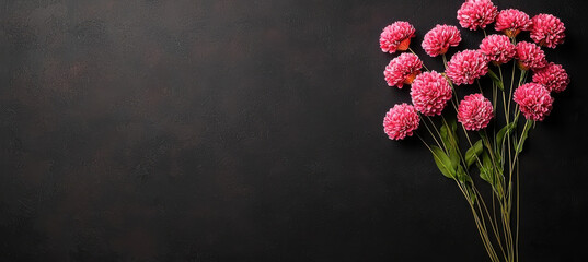 Fototapeta premium Pink flowers on dark textured background create striking contrast