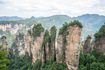 Mountains and forests in Zhangjiajie scenic area, Hunan Province, China