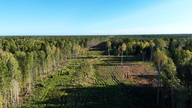 Construction of the Rail Baltica line cutting wide swathe through a forest, demonstrating the environmental impact of infrastructure projects that will integrate the Baltics into the European network.
