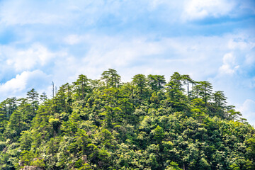 Mountains and forests in Zhangjiajie scenic area, Hunan Province, China