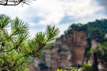 Mountains and forests in Zhangjiajie scenic area, Hunan Province, China