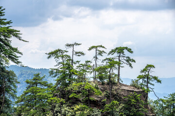 Mountains and forests in Zhangjiajie scenic area, Hunan Province, China
