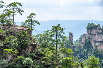 Mountains and forests in Zhangjiajie scenic area, Hunan Province, China