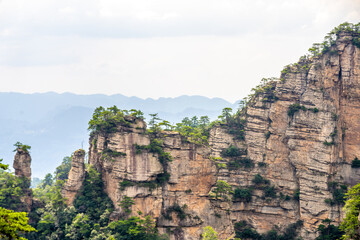 Mountains and forests in Zhangjiajie scenic area, Hunan Province, China