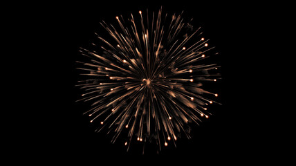 Obraz premium Firework on the dark sky background.