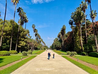 Panoramic view of the beautiful Hamma Botanical Garden. Algiers. Algeria