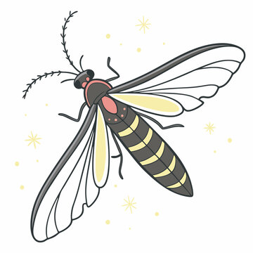 Firefly clip art preview