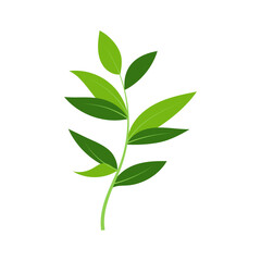 leaf illustration element