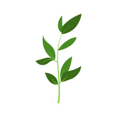 leaf illustration element