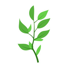 leaf illustration element