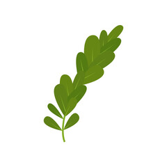 leaf illustration element