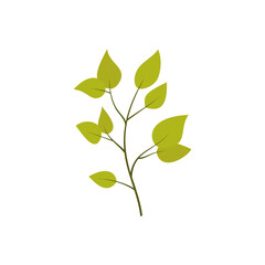 leaf illustration element