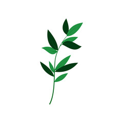 leaf illustration element