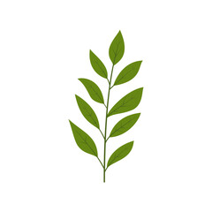 leaf illustration element