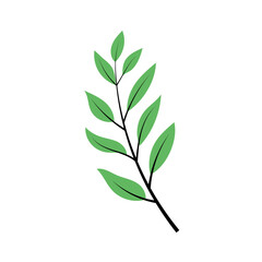 leaf illustration element